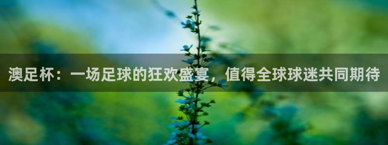 世界杯 中国：澳足杯：一场足球的狂欢盛宴，值得全球球迷共同期待