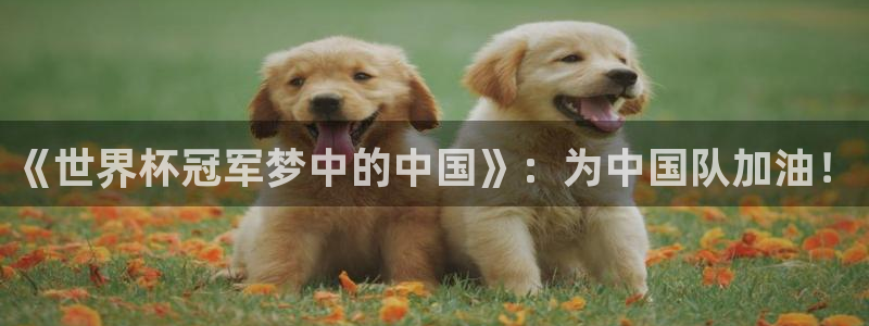 世界杯预选赛赛程表：《世界杯冠军梦中的中国》：为中国队加油！