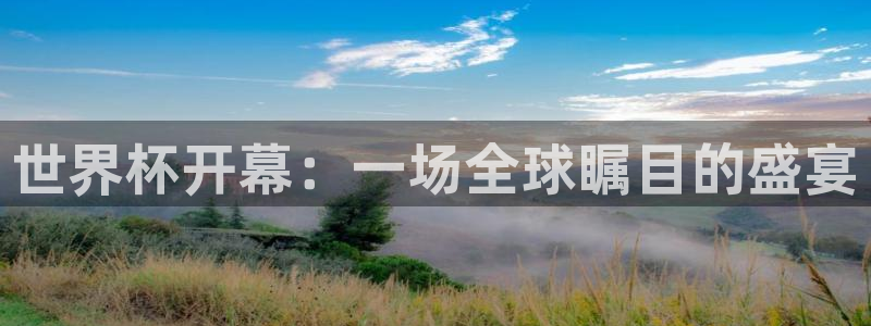 世界杯2026预选赛：世界杯开幕：一场全球瞩目的盛宴