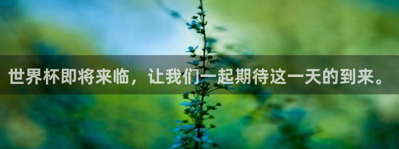 世界杯比赛：世界杯即将来临，让我们一起期待这一天的到来。