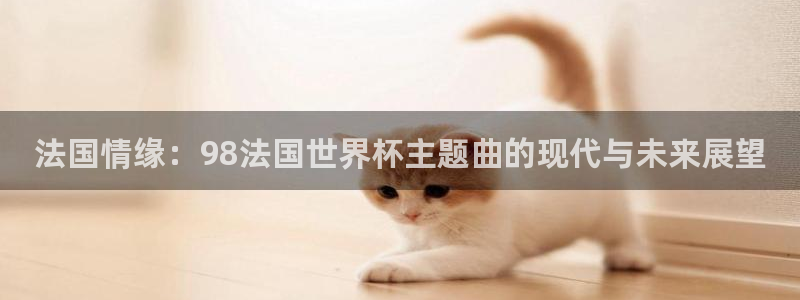 世界杯足球比赛：法国情缘：98法国世界杯主题曲的现代与未来展望