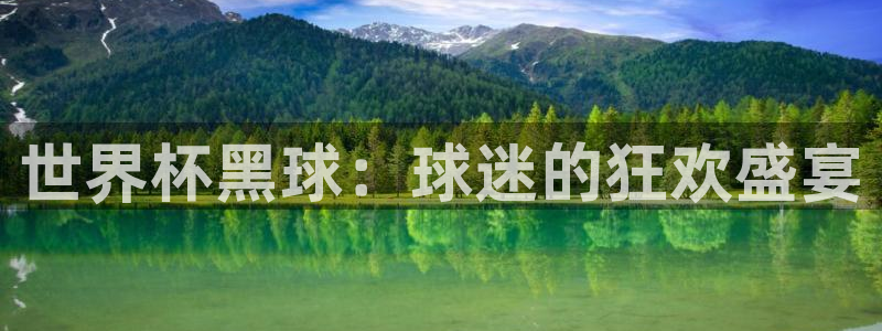 2026世界杯：世界杯黑球：球迷的狂欢盛宴