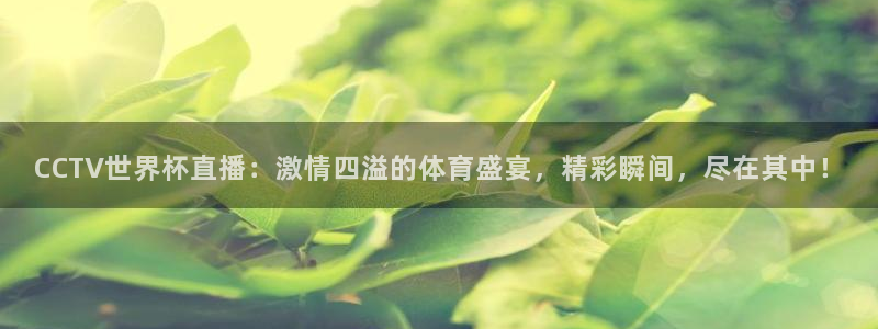 欧洲世界杯预选赛赛程：CCTV世界杯直播：激情四溢的体育盛宴，精彩瞬间，尽在其中！