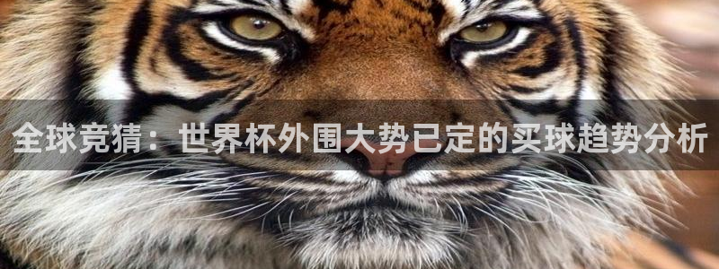 世界直播：全球竞猜：世界杯外围大势已定的买球趋势分析