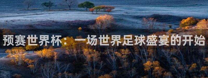 2026世预赛赛程：预赛世界杯：一场世界足球盛宴的开始