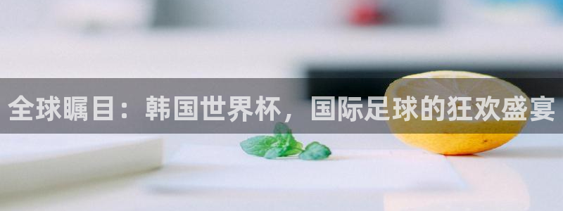 法国杯2026赛程表：全球瞩目：韩国世界杯，国际足球的狂欢盛宴