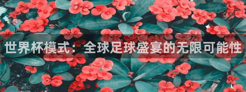 2026世界杯亚洲区预选赛：世界杯模式：全球足球盛宴的无限可能性