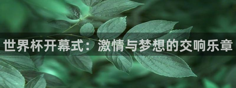 2026年世界杯时间表：世界杯开幕式：激情与梦想的交响乐章